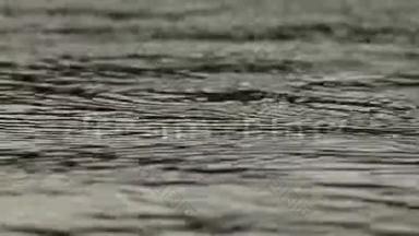 水上大雨秋季天气.. 雨滴和气泡。 水滴掉进水库里。 慢速视频